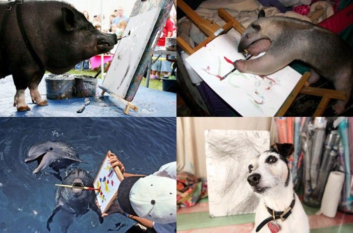 10 самых известных животных-художников (10 фото)