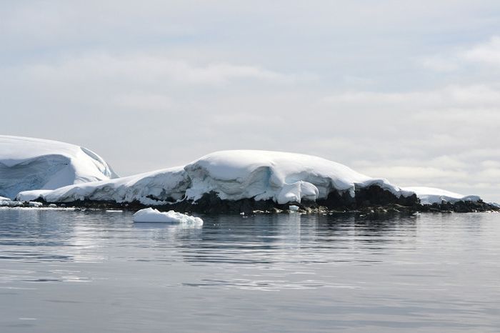 Антарктида - королевство льдов   (76 фото)
