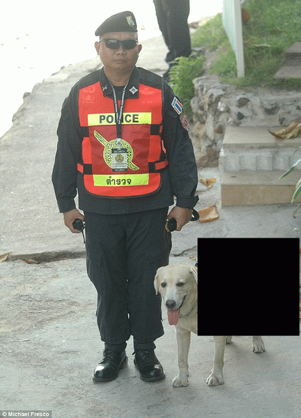 полиция, собака, оружие