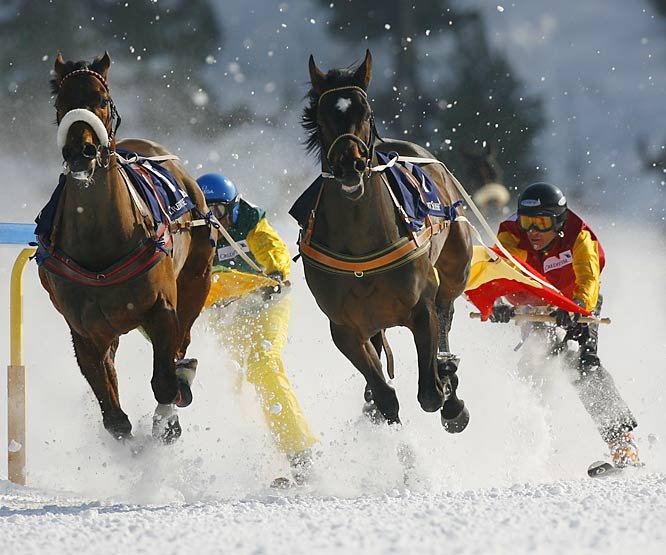Лошади на снегу (10 фото)