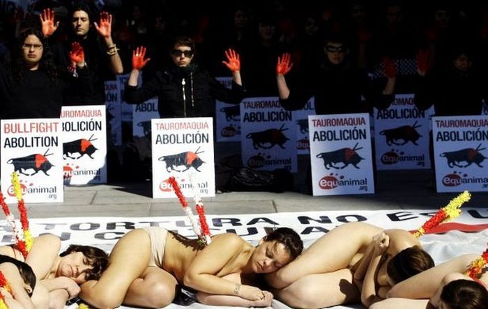 Испанский протест против корриды (9 фото)