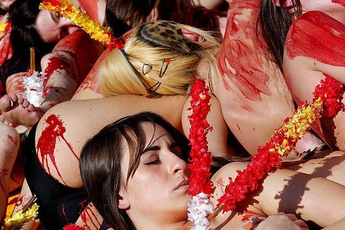Испанский протест против корриды (9 фото)
