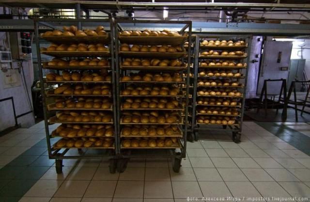 Как делают хлеб (33 фото)