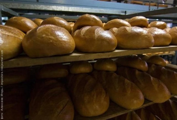 Как делают хлеб (33 фото)