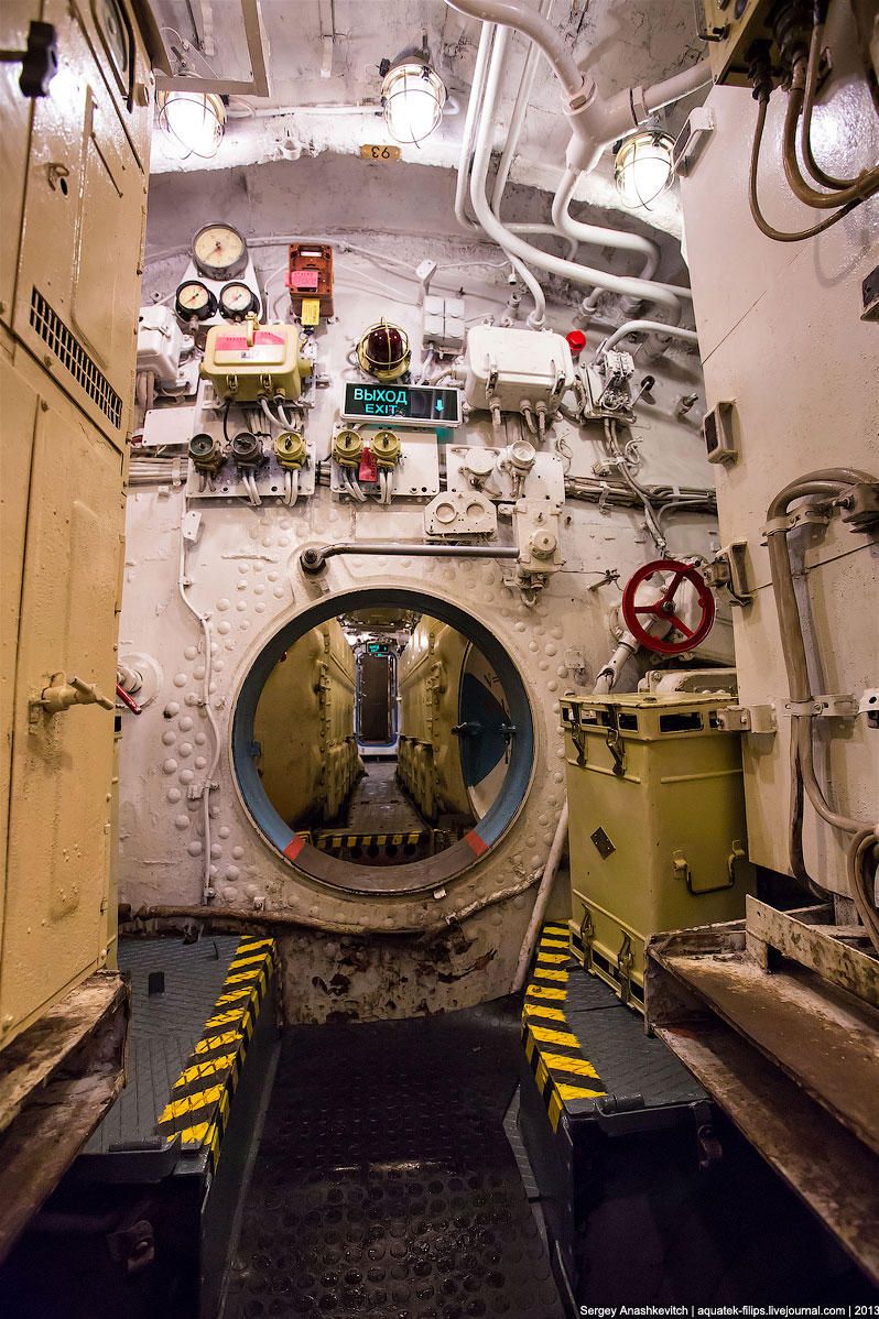 подводная лодка, субмарина, ссср, торпеда, техника