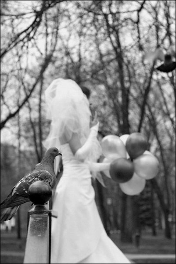 Обалденная свадебная фотосессия (18 фото)