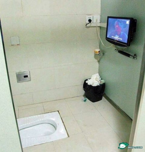 Телевизор в туалете (4 фото)