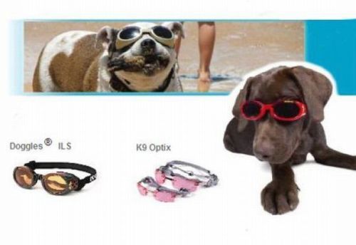 Очки для плавания для собак