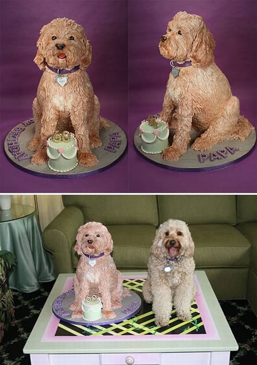 Тортики в виде собак (12 фото)