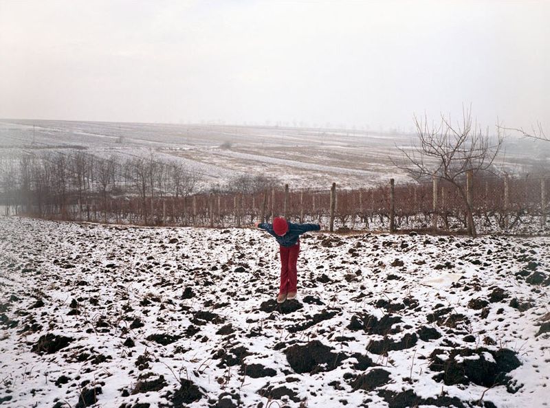 14. Одинокий ребенок играет на заснеженном поле. (Andrea Diefenbach)
