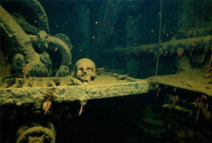 Таинственный подводный мир (38 фото)