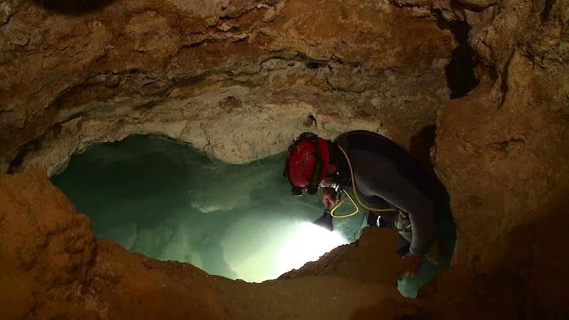 пещера, экосистема, природа