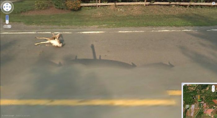 Снимки аварий с камер Google Street View (12 фото)