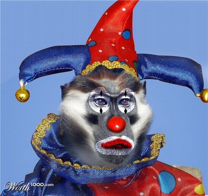 Фотожаба животных-клоунов (19 фото)