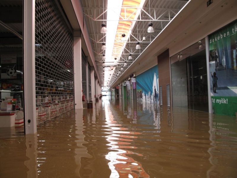 Затопленный супермаркет (5 фото)