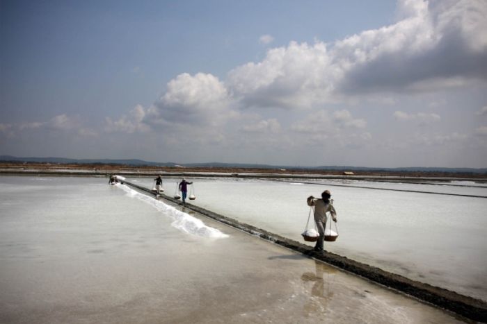 Как добывается соль в Индии и Индонезии (28 фото)