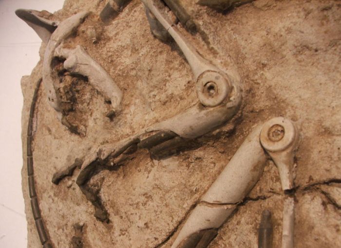 Что можно раскопать через 2000 лет (10 фото)