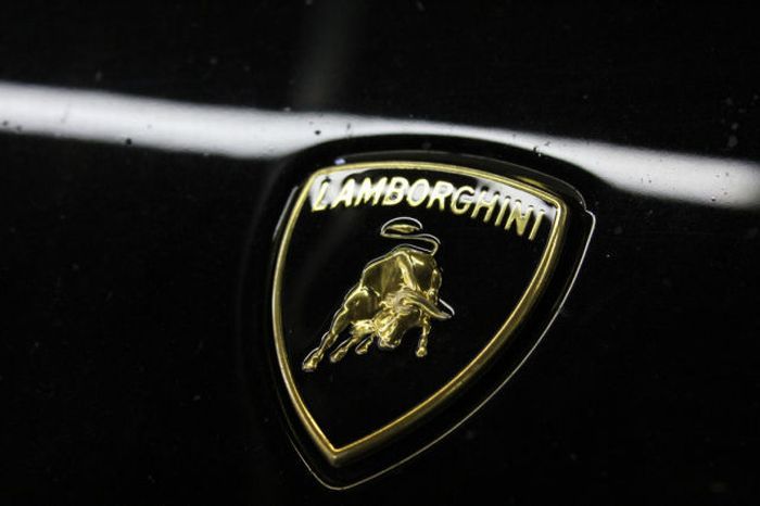 Для путешествия по США на Lamborghini Gallardo американец продал все (23 фото)