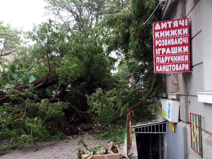 По Одессе прошел ураган, сотни деревьев были поломаны (6 фото)