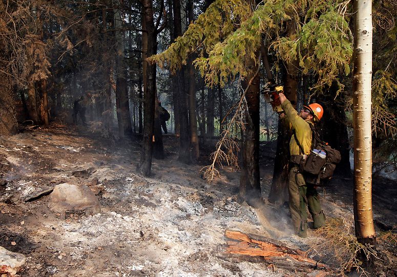 Лесные пожары в Нью-Мексико (33 фото)