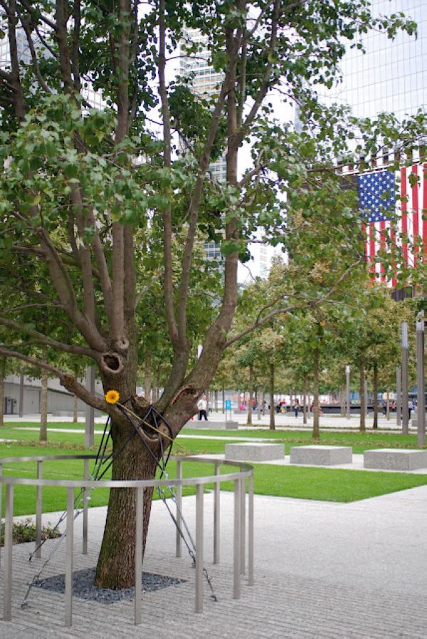 Мемориал 11 сентября (28 фото)