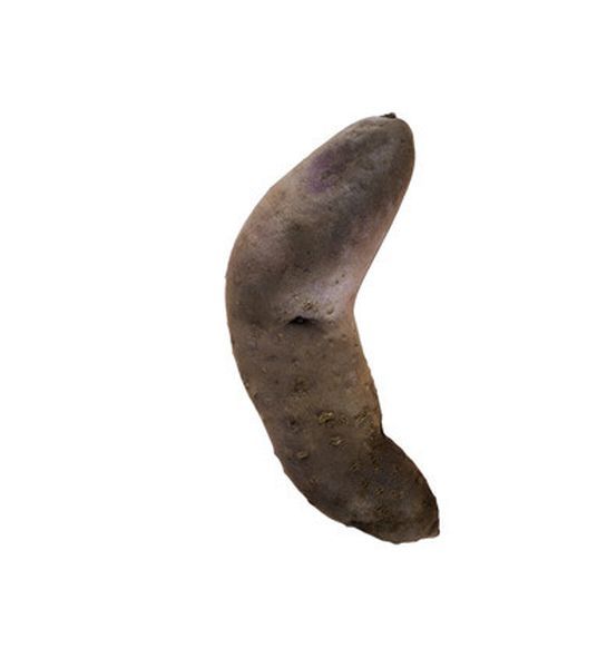 Как выглядит картофель в Перу и Боливии (19 фото)