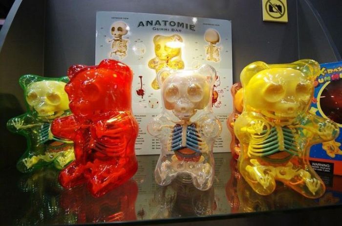 Анатомия в игрушках (30 фото)