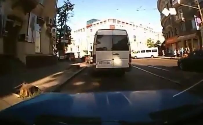 Как выходят из маршрутки в Днепропетровске (Видео)