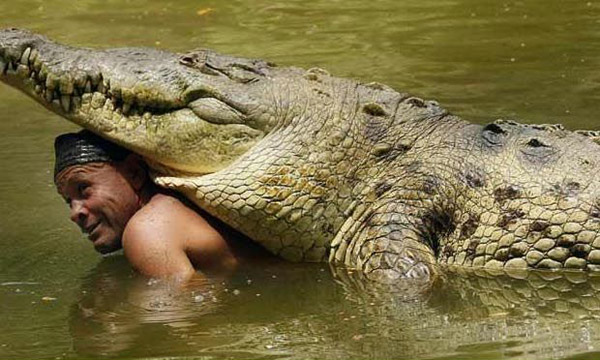 Дружба с крокодилом (6 фото)