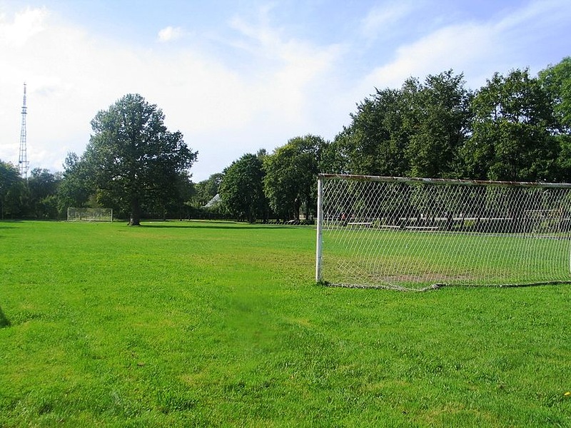 Футбольное поле с изюминкой (2 фото)