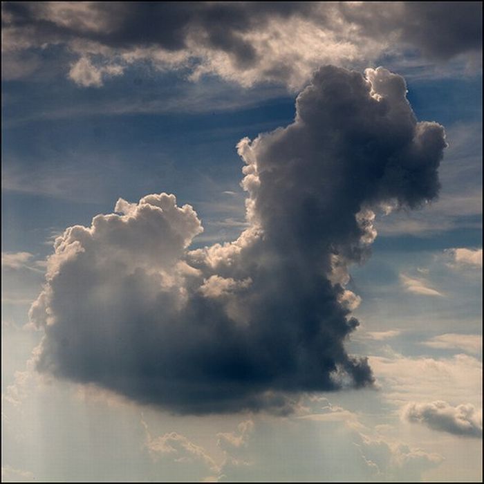 Облака лошадками (16 фото)