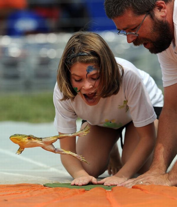 Фестиваль прыгающих лягушек в Огайо (15 фото)