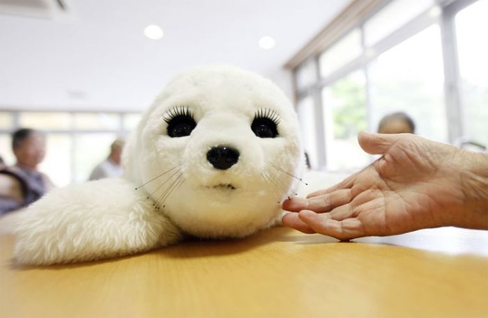 Роботы-тюлени утешают пожилых японцев ( 6 фото)