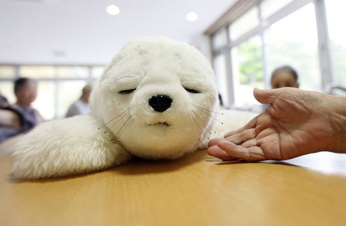 Роботы-тюлени утешают пожилых японцев ( 6 фото)