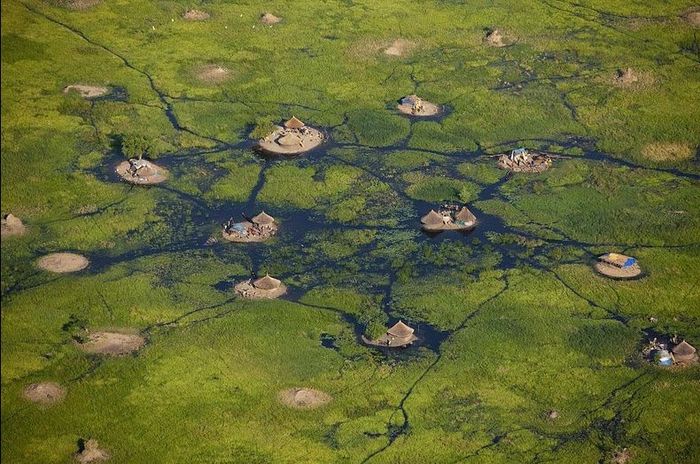 Самое огромное болото (7 фото)