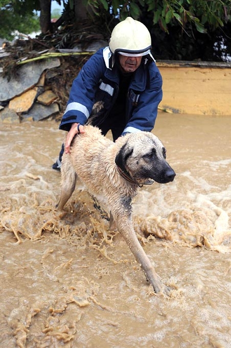 На Турцию обрушился «второй всемирный потоп» (14 фото)