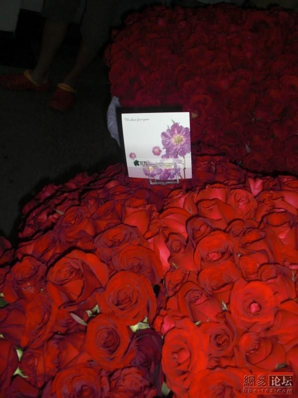 10 тысяч алых роз (8 фото)