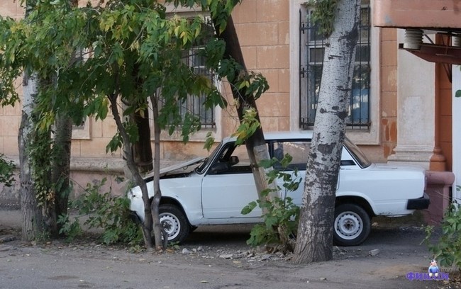 Парковка по Астрахански! (8 фото)