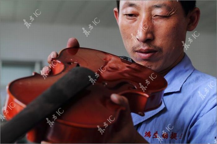 Рождение скрипки (43 фото)