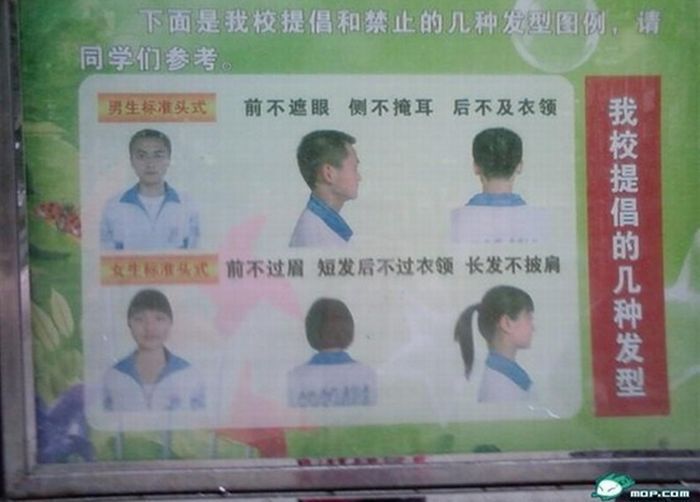 В китайских школах запретили неформальные прически (10 фото)