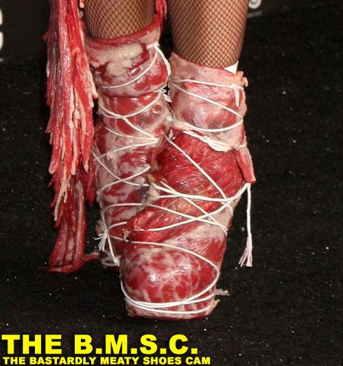 Платье из мяса. Шок от Леди Гага (10 фото)