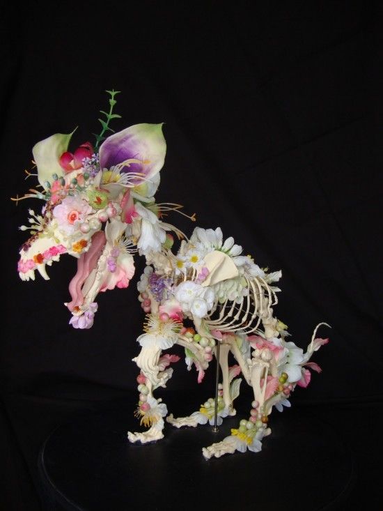 Скелеты из цветов (7 фото)