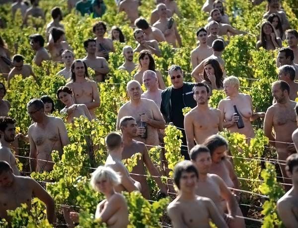 Нудисты в винограднике (2 фото)