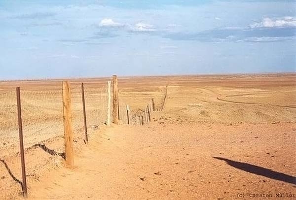Самый длинный забор в мире (12 фото)