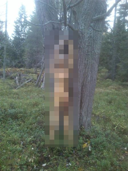 Шведские охотники нашли настоящую жуть (3 фото)