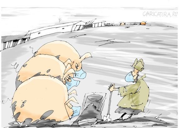Карикатуры на тему свиного гриппа (31 фото)