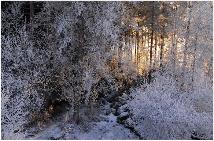 Романтичная зима (15 фото)