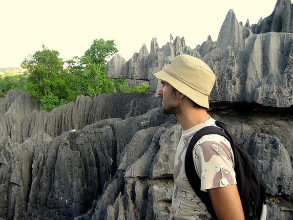 Каменный лес на Мадагаскаре (40 фото)