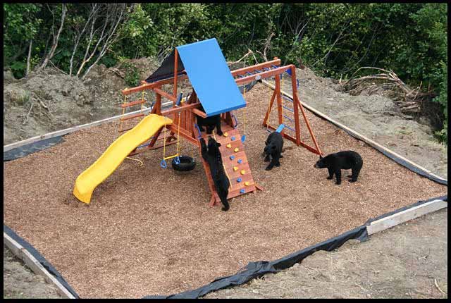 Детская площадка на Аляске  (4 фото)