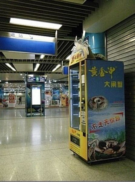 Автомат по продаже крабов (7 фото)